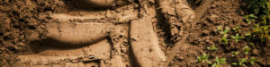 Read more about the article Atv Trail Riding Tips