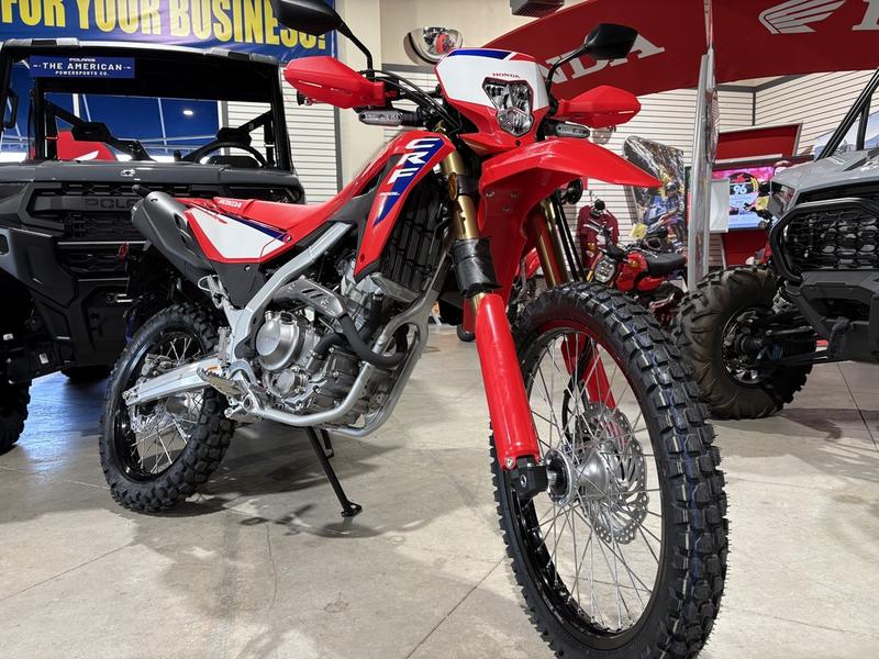 2025 Honda CRF300L DUAL PURPOSE