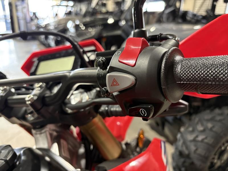 2025 Honda CRF300L DUAL PURPOSE
