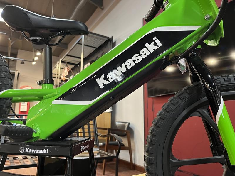 2023 Kawasaki Elektrode DIRT BIKE